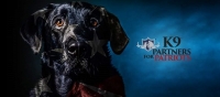 Dice Run For K9 Partners For Patriots